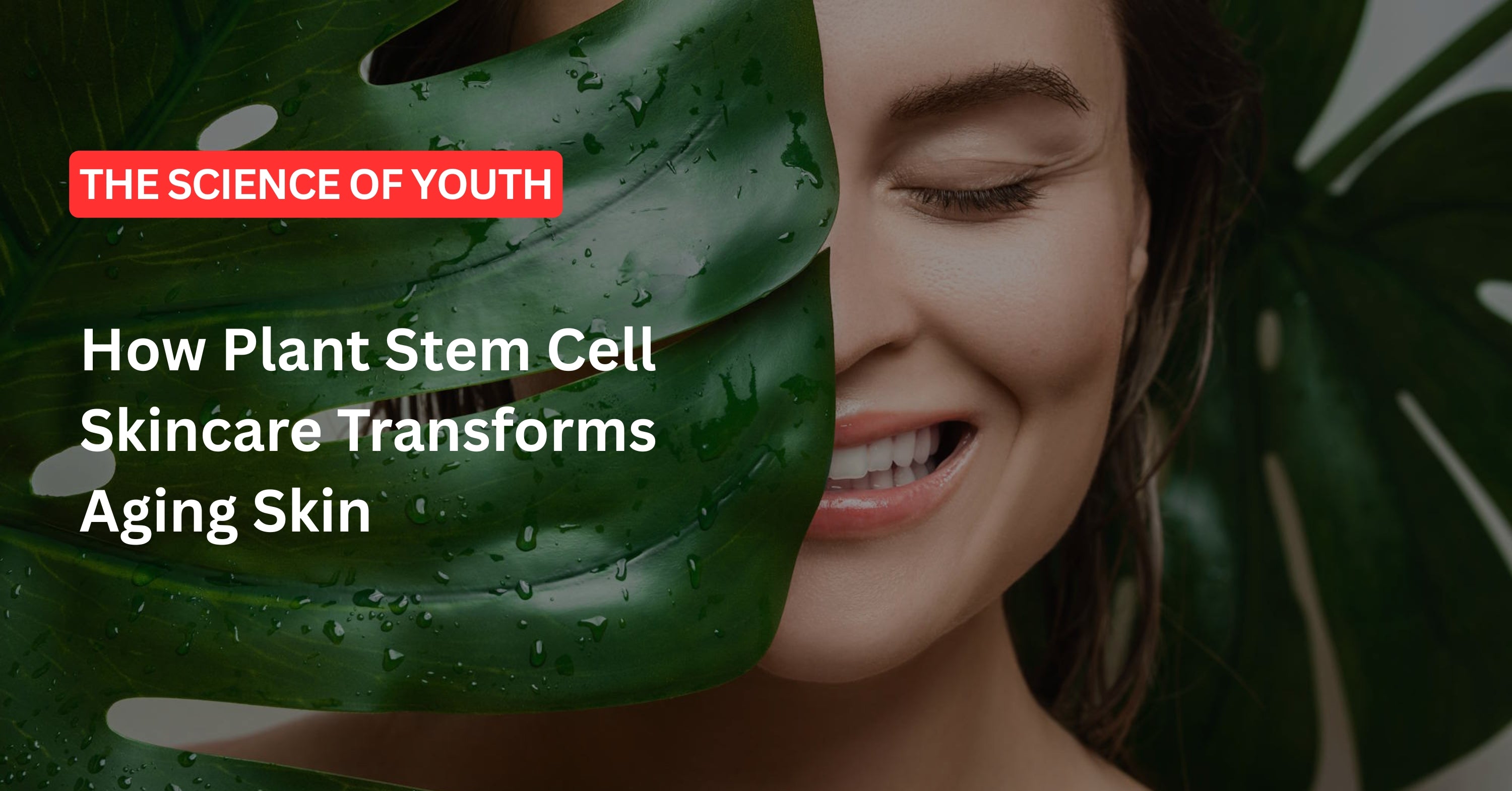 The Science of Youth: How Plant Stem Cell Skincare Transforms Aging Skin
