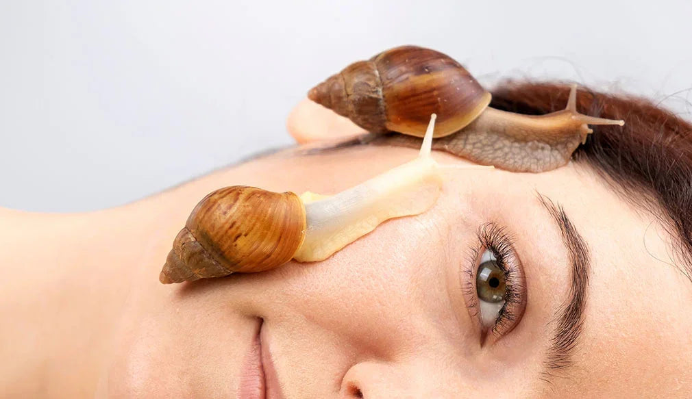 The Cellular Benefits of Snail Secretion Filtrate: Repair, Elasticity & Glow Explained